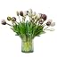 B Style-40pcs Dark Plum Set(no Vase)