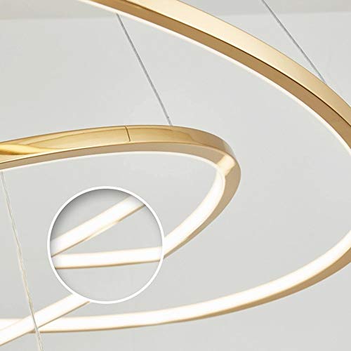 Plafond décoratif en acier inoxydable de luxe pour éclairage moderne - 4