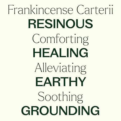 Aceite Esencial Frankincense Carterii 30 mL miniatura 4