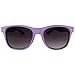 Rhode Island Novelty Rubber Coated Horn Rimmed UV Sunglasses - Purple