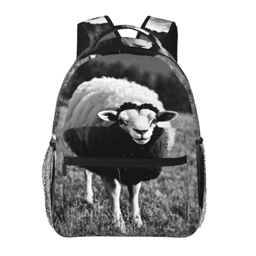 Mochila de senderismo EdWal repelente al agua con compartimento para laptop