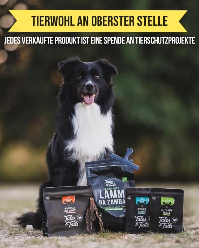 Tales & Tails Futtertube für Hunde zum Befüllen - Mmh Schleck Schleck | 1er Pack | Hundetraining mit Tubenquetscher | Beruhigung beim Tierarzt | Wiederverwendbar