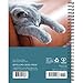 What Cats Teach Us 2026 6.5