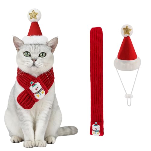 IRRVIN 2Zbg NX}X  L RXv NX}X }t[ Xq ӂӂ RR ybg 蕨 ϐg   ʔ hJp^[ ߉\ ʐ^Be p[eB RXv (bh)