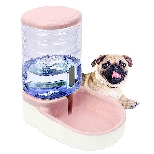  ybg 3.8L e 12 ybg{g a{E L  @  GT EH[^[fBXyT[ ybgpi ybgObY ybgpi