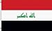 NEOPlex 3' x 5' International Flags of The World's Countries - Iraq (New)