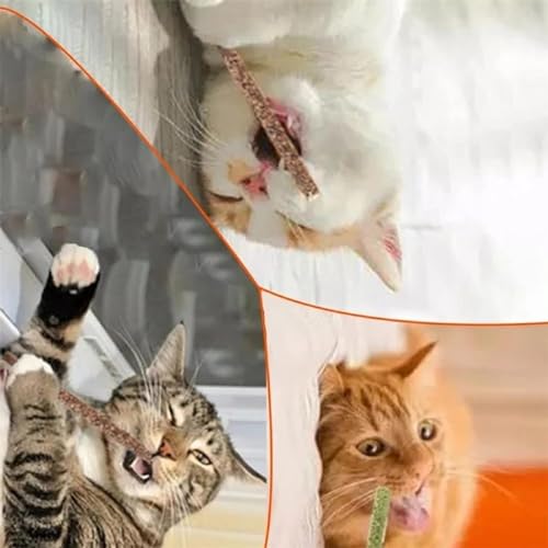 Cature-Cat-Chew-Sticks-Cat-Catnip-Sticks-Natural-Catnip-Toys-Cat-Teeth-Nip-for-Cat-Teeth-Cleaning-Playful-Entertainment-for-Kittens-and-Cats-Chew-Mint-Stick-Toy