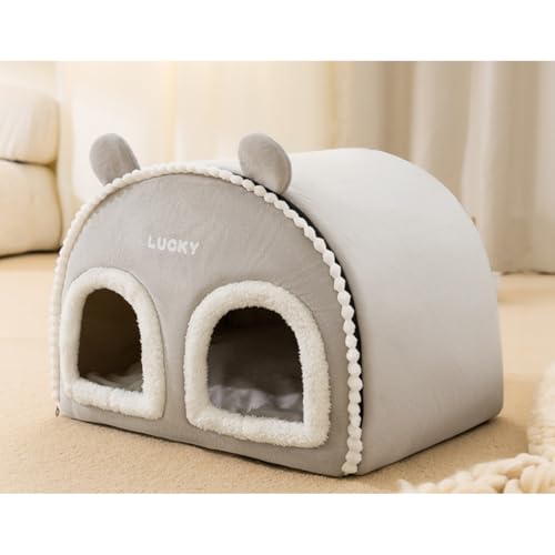 yPtomotoz~pybgnEX h[^  ^Lxbh 􂦂 g ~ NbV ۉ P29