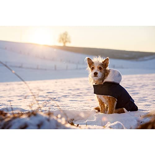 Hundemantel TEDDY 27 cm Bauchumfang 32-43cm