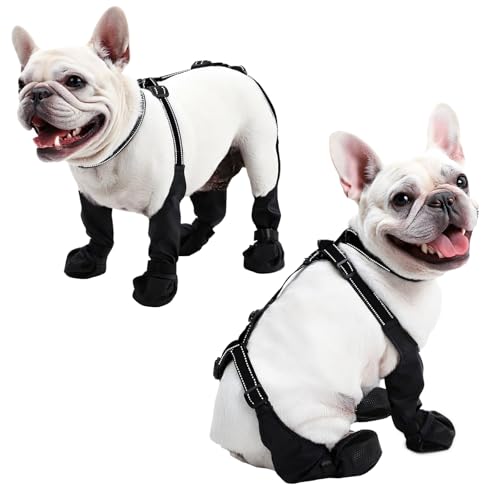 BECROWM wasserdichte Hundestiefel, Hundepfotenschutz für kleine...