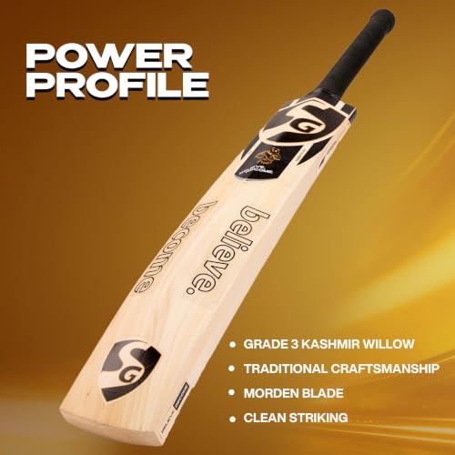 SG HP Spark No 5 Kashmir Willow Cricket Bat - Image 4