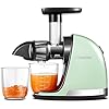 Slow Juicer,AMZCHEF Masticating Juicer Machines with Reverse Function, Cold Press Juicer with Brush, Recipes for High Nutrient Fruits and Vegetables, Green(Updated)