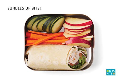 Image of Bits Kits Stainless Steel Bento Box Lunch and Snack Container for Kids and Adults, 1 Compartment, 3 Cup Capacity, Color-Silver