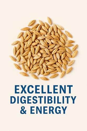 image for CountryMax Barley Seed – Feed Grade Whole Grain Barley for Livestock
