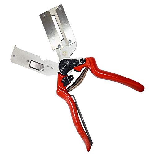 Tijeras de Injertos para Ramas, Tijeras de Podar de Jardín para Eficiente Poda y Injerto, Jardín Injerto Kit de Herramientas para Frutas Flores Algodón, Profesional Garden Grafting Tool