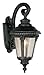 Trans Globe Lighting TG5043 BK Transitional One Wall Lantern Outdoor-Post-Lights, Medium, Black
