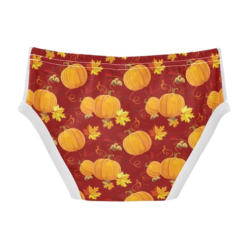 visesunny Boys Cotton Underwear Pumpkin Fall Maple Leaf Orange Printed Toddler Soft Training Briefs Size 2T-8Y for Kids2