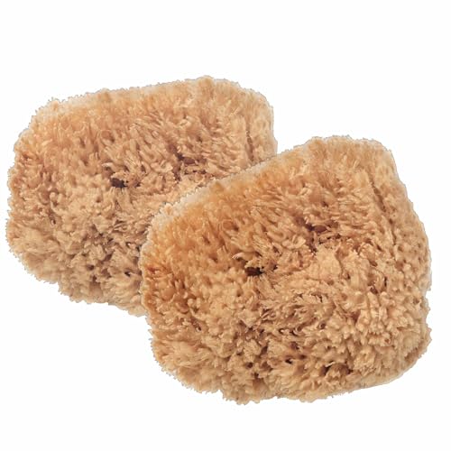 2 x BabyCare Exfoliating Sea Sponges for Most Sensitive and Delicate Skin - Natural Unbleached Sponges - Sustainably Harvested in Plastic Free Packaging