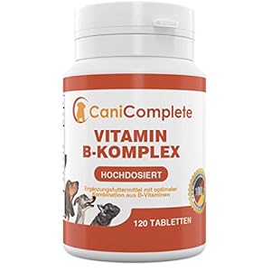CaniComplete Vitamin B Complex for Dogs and Cats: B1, B2, B3, B5, B6, B9, B12, K3, Calcium, Folic Acid, Supports Important Nerve Functions, 120 Pieces (4 Month Pack)