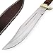 Armory Replicas Persian Bloodlines Hunting Knife | Stainless Steel Fixed Blade Outdoor Knife