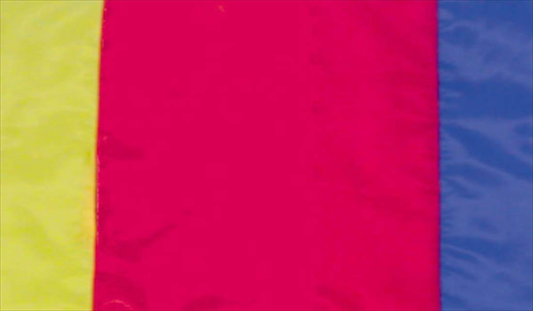 Amazon | 徳永こいのぼり 金太郎ゴールド鯉 6m 6点セット 鯉3匹 大型