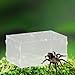 Leefasy Reptile Feeding Box Reptile Terrarium Acrylic Professional Spacious Container Turtles Box for Young Bearded Dragon, 30x20x15cm