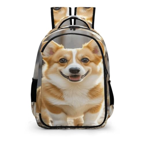 Mochila de viaje de Corgi con compartimento acolchado 6