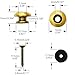 Musiin Guitar Strap Buckle Electric Guitar Bass Anti-slip Buckle Ukulele Strap Button (2 Pieces, Gold)