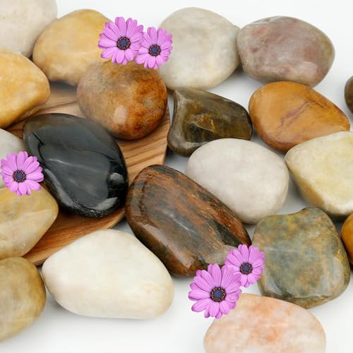 NUPICK 3lb River Rocks for Plants Indoor 2-3Inch Mixed Pebbles for Vases Fillers Decorative Gravel for Fish Tank Natural Polished Stones for Succulent Bonsai Landscaping Bird Baths
