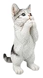 Katzenfigur Kitten bettelt – Handbemalte Polyresin Dekofigur von HotAnt, 22,5 cm, wetterfest für Haus & Garten