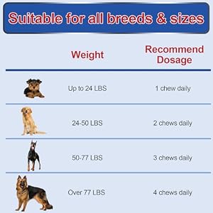 Joint Supplement for Dogs, Glucosamine Chondroitin for Dogs Joint Pain Relief, MSM - Advanced Mobility Chews Reduce Inflammation, Hip & Joint Care - Chicken Flavor - 90 Ct Joint Supplement for Dogs, Glucosamine Chondroitin for Dogs Joint Pain Relief, MSM – Advanced Mobility Chews Reduce Inflammation, Hip & Joint Care – Chicken Flavor – 90 Ct
