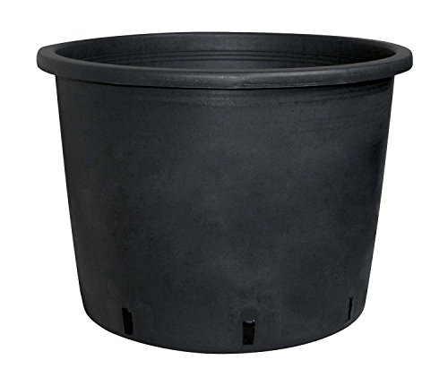 geli Thermo Plastic Baumcontainertopf aus Kunststoff Schwarz, Durchmesser:24 cm