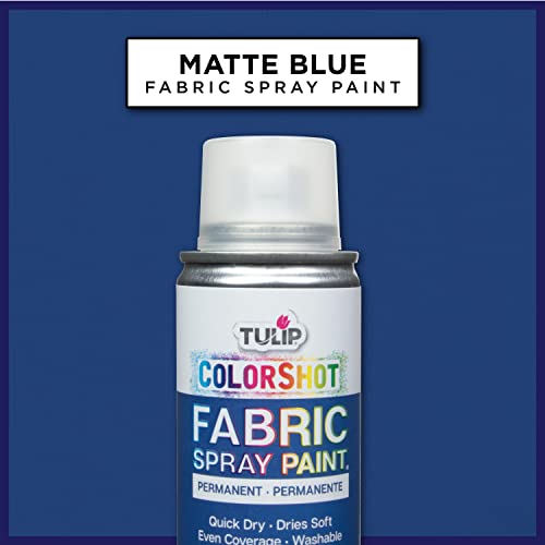 image for Tulip ColorShot Instant Spray Fabric Color 3oz. Blue, 3 Ounce (Pack of