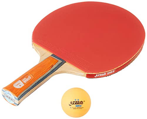 DHS TT Wood BAT A1003 Wood DHS WITH TT BALL DHS 40MM 2 STAR ORANGE (48 Pcs Box)