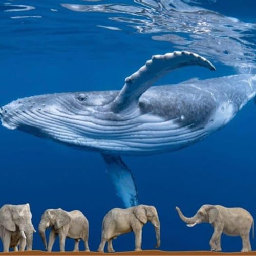 5 Weird And Cool Animal Facts