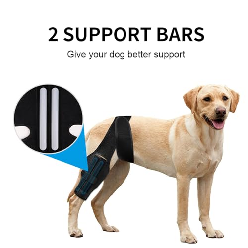 Image of Dog Knee Brace,Brace for Torn Hind Legs,Hip Knee and Leg Support for Hip Luxating Patella,Comfortable and Adjustable (M)