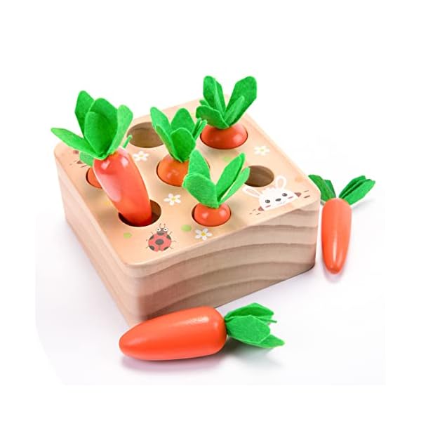 Montessori Toys for 1 Year Old, Carrots Harvest Wooden Baby Toys for 6-12 Months Educational Shape Sorting Matching Toys for Toddler Fine Motor Skill Development, Gift for Kids Birthday Easter Toys