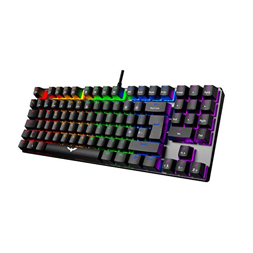 havit Wired Mechancial Keyboard Red Switch LED Backlit TKL Tenkeyless Mechancial Keyboard, 2-in-1 Gaming Keyboard and Office Use, UK Layout (KB486L)
