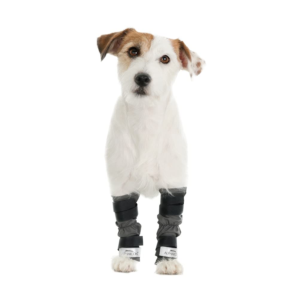 Amazon | レッグガード(2021年モデル)(ブラック,M)2個入り1セット