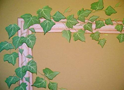 English Ivy Vine Rub On Transfer Mural Wall Tattoo 4 Sheets Of Ivy #TOP5
