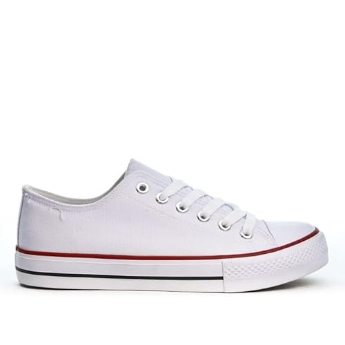 Women's Ladies Girls Canvas Low Top Lace Up Trainers Sneakers Pumps Plimsolls Size UK 3-8 (White, UK Footwear Size System, Adult, Women, Numeric, Medium, 6)