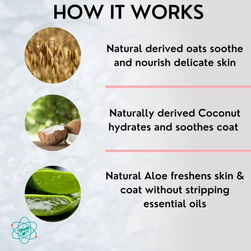 Pet Care Sciences 16 Fl Oz Tearless Puppy Shampoo And Conditioner - Anti Itch Dog Shampoo Sensitive Skin - Coconut Oil Oatmeal Pet Shampoo For Puppies #TOP3