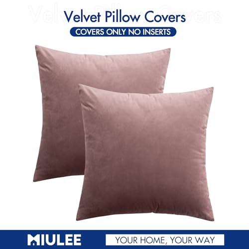 Image of MIULEE Pack of 2 Decorative Velvet Pillow Covers Soft Square Throw Pillow Covers Soild Cushion Covers Jam Pillow Cases for Sofa Bedroom Car 16 x 16 Inch 40 x 40 cm