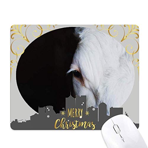 ̓̎ʐ^ NX}XCũS}EXpbh