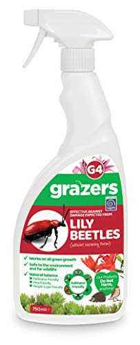GRAZERS G4 LILY BEETLE 750ML RTU