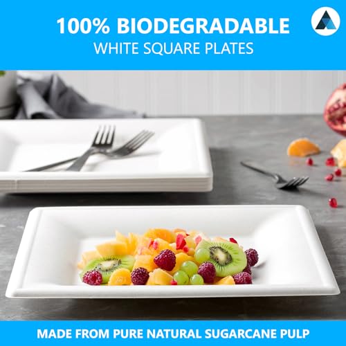 Nationwide Paper 8 Inch Biodegradable Square Paper Plates, Bagasse White Disposable Plates, Strong Party Plates (50 Pcs) - Image 3