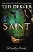 Saint: A Paradise Novel (The Books of History Chronicles)