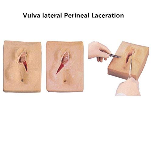 Suture Practice Kit for Medical Students Lateral Perineal Laceration/Episiotomy Suture Simulator (Right Left or Median posterior Incision Can be Selected)