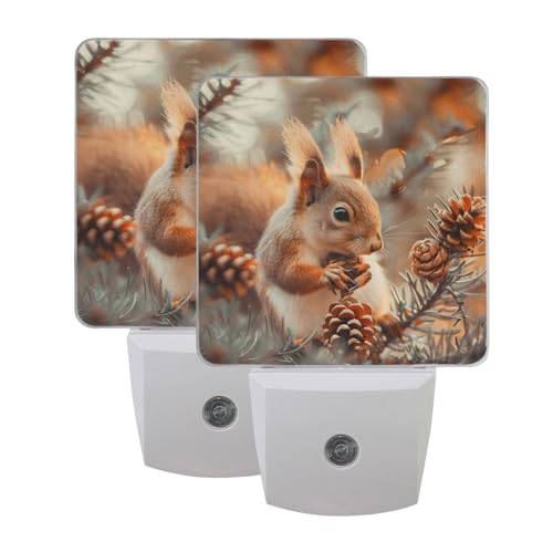 Image of Cute Squirrels Pine Cones Night Lights 2 Pack Plug-in Wall Led Nightlight Auto Dusk-to-Dawn Sensor Lamps for Bedroom Kitchen Bathroom