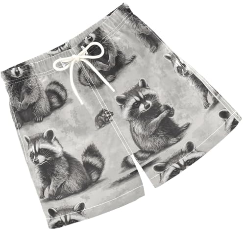 Pigsaly Boys' Swim Board Shorts Vintage White Grey Funny Raccoon Boy's Swim Trunks Kids Swimwear 4T